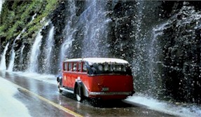 RedBusTours
